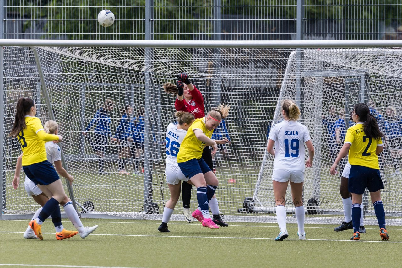 Bild 258 - F SV Eidelstedt - SC Alstertal-Langenhorn : Ergebnis: 2:7